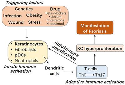 Type1 Interferons Potential Initiating Factors Linking Skin Wounds With Psoriasis Pathogenesis